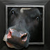 Object: 21607 - Portret - 41 x 44 cm - € 3300.= Object: 21607 - Portret - 41 x 44 cm - € 3300.=