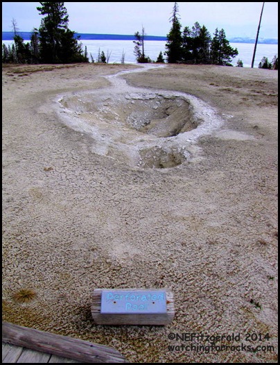 PerforatedPool May2014NEFWFR PerforatedPool May2014NEFWFR