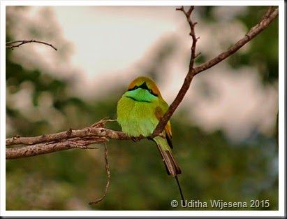 DSC_0576 DSC_0576