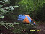 sd530791_20090329_1235929672.jpg