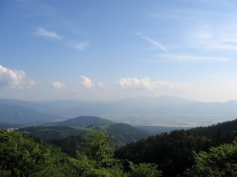 法恩寺林道から