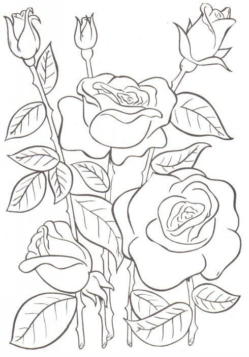 [rosas%255B2%255D.jpg]