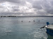 IMG_20120217_155800.jpg