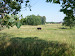 P1090818.JPG