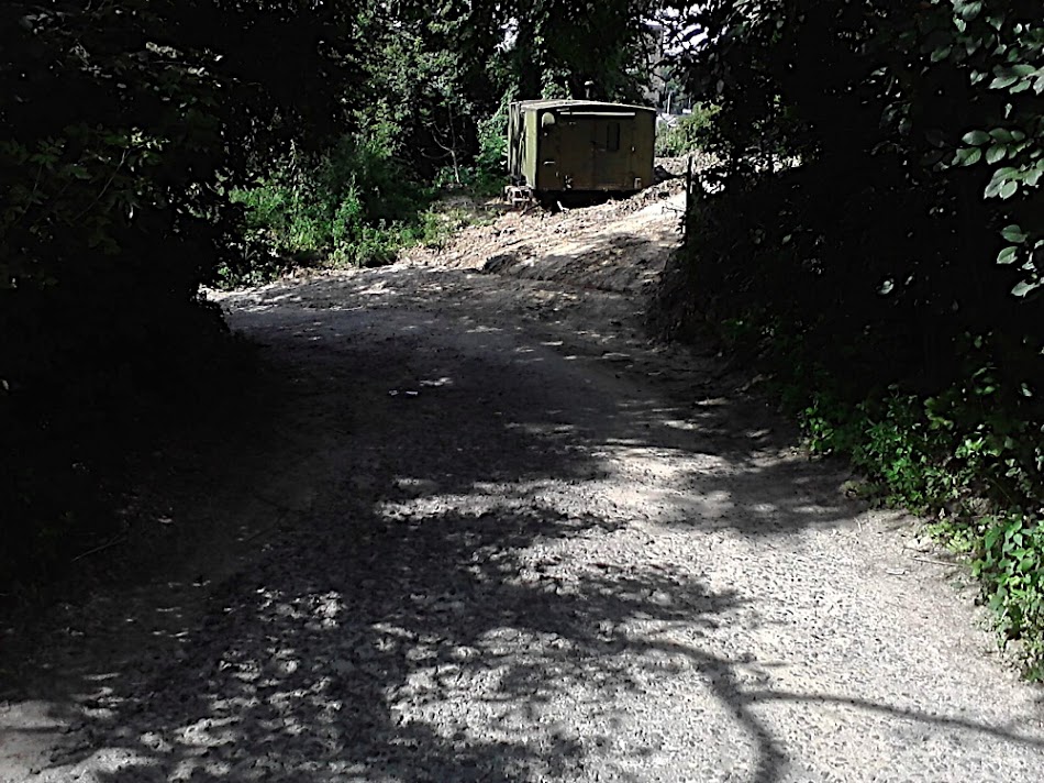 P300711_11.32.jpg