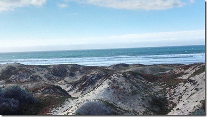 IMG_20130126_131537_015 IMG_20130126_131537_015