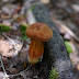 P1110996