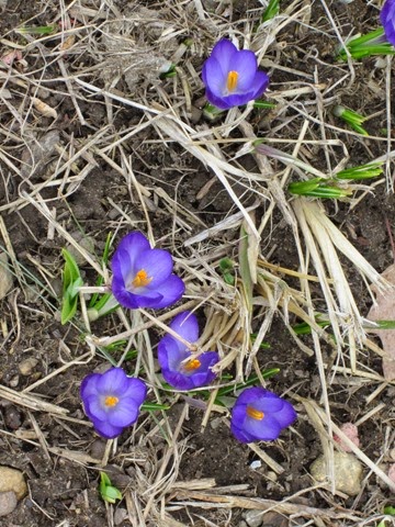 [IMG_0426%255B3%255D.jpg]