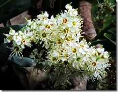 IMG_8696a IMG_8696a