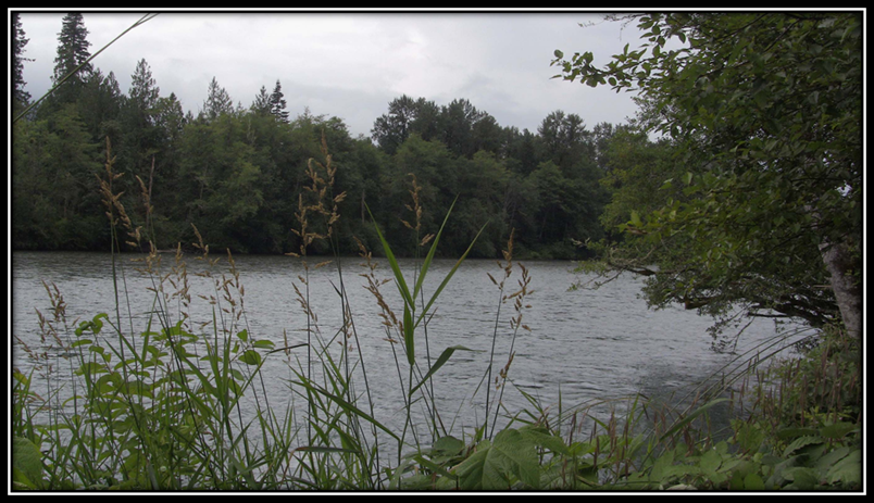 [clip_image0027.png]