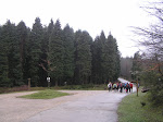 Saldropo