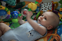 Oscar on the gym