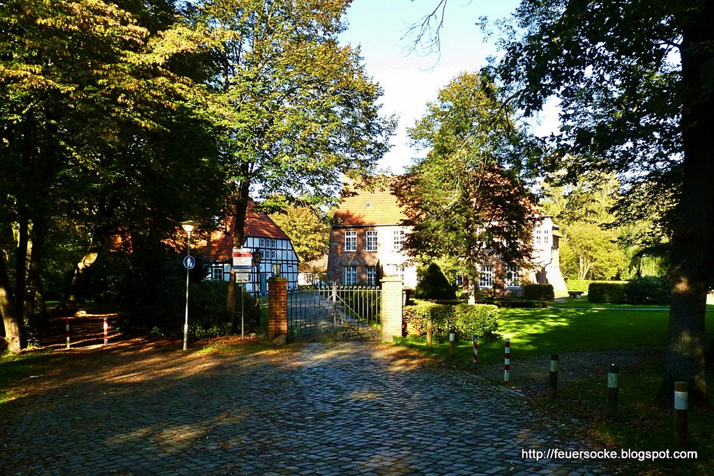 [P1030477-1%255B3%255D.jpg]