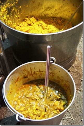 Cauliflower curry          