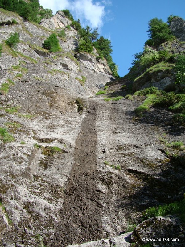 38.jpg 38.jpg