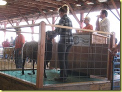 IMG_2096 IMG_2096