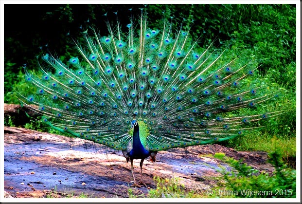 DSC_0549 DSC_0549