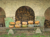 Autumn harvest
