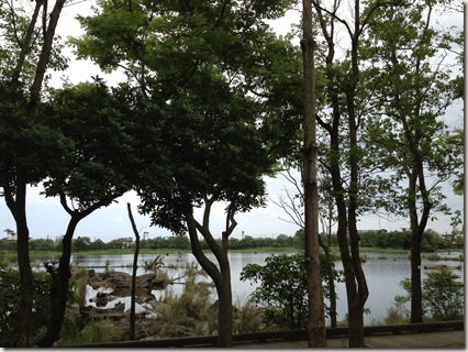 IMG_0680 IMG_0680