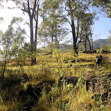 The start of the trail to Egon (Daniel Quinn, August 2010)