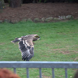 Cub Pack Holiday - Skreens Park 2012 - DSC_0180.jpg