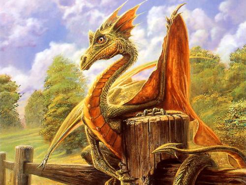 Dragon In The Village, Dragons