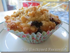 blueberry lemon streusel muffins - The Backyard Farmwife
