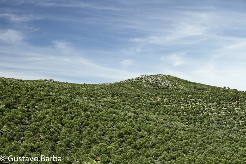 [IMG_5661%255B3%255D.jpg]