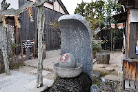 DSC_0071.JPG