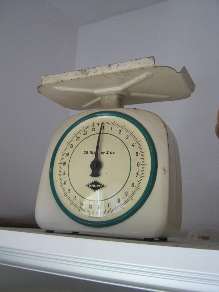 [IMG_336910.jpg]
