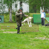 Galleri 4 - Sommerkurs 2005