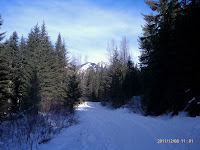 1323370916447.jpg Photo