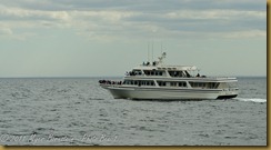 Whale Watch  _ROT3821   NIKON D3S June 02, 2011