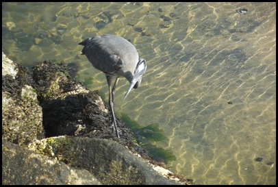 Provincetown 168