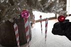 Yes, I sure do, Sharkey.  And I especially love these long candy cane icicles.