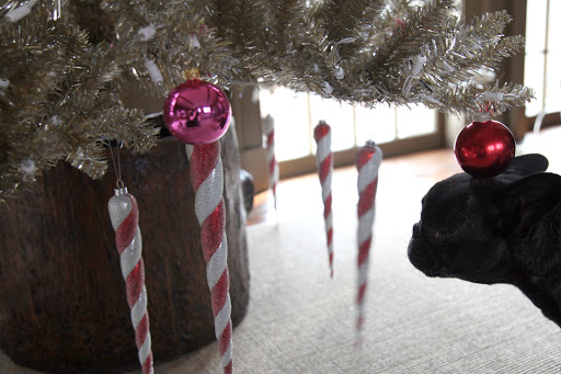 Yes, I sure do, Sharkey.  And I especially love these long candy cane icicles.