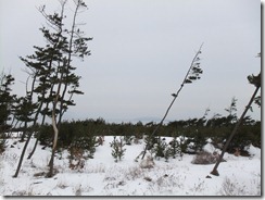 DSCF6902