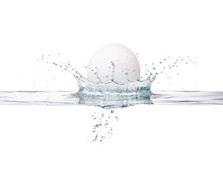konjac sponge konjac sponge