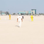 cricket4_ 2010_QTS.JPG