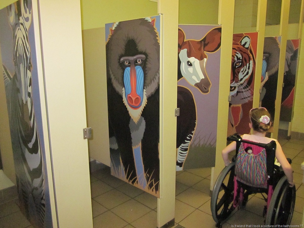 [2011-08-30%2520062%255B13%255D.jpg]