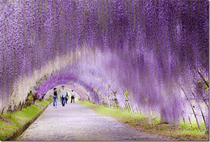 amazing-places-10-1 amazing-places-10-1