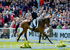 Dirk Schrade (GER) riding King Artus