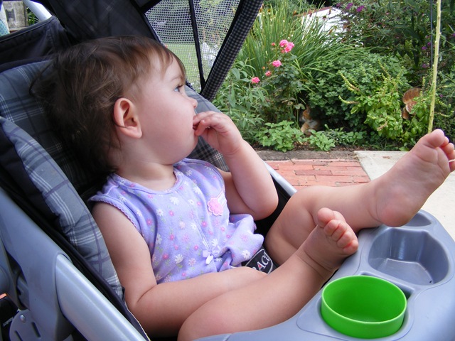 [DSCF6064%255B3%255D.jpg]