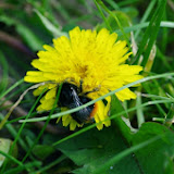 IMGP0999.JPG