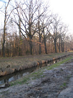 IMG_0176.JPG