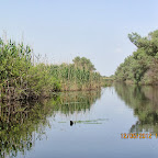 IMG_7630.JPG