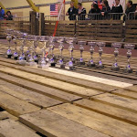 P1010244.JPG