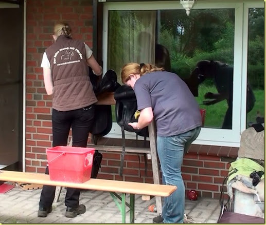 Sattelputzen3
