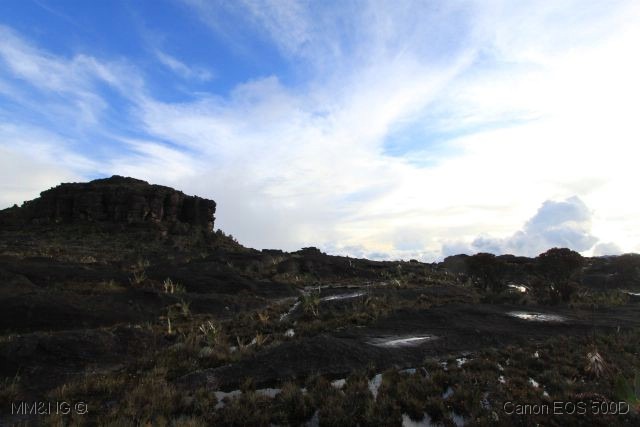 [IMG_2203%255B4%255D.jpg]