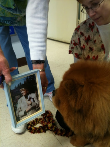 The vets showed me a photo of Martha holding a Jack Russell terrier who is owned by Dr. Edward Shelly from the veterinary clinic! What a small world! By the way, all kinds of pets can get microchips. It's a really good idea! The vets showed me a photo of Martha holding a Jack Russell terrier who is owned by Dr. Edward Shelly from the veterinary clinic! What a small world! By the way, all kinds of pets can get microchips. It's a really good idea!